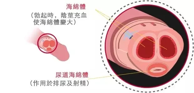 1763008635266054.png 021642318888.png